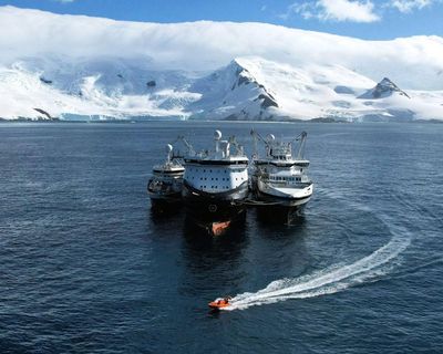 World’s largest krill harvester at centre of row over ‘blue tick’ sustainability label