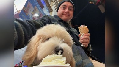 US Foreign Service Officer's Road Rage Leaves Woman, Dog Dead in Mass Stabbing