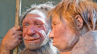 The mating game: New DNA study shows female humans often interbred with Neanderthal males