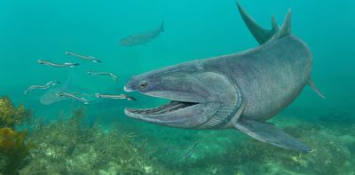 New fossil reveals the weird ‘tooth cushions’ of an apex predator from 425 million years ago