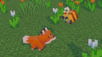 Minecraft has finally revealed the name of its baby mob update, and I honestly didn't think it could get any cuter but here we are