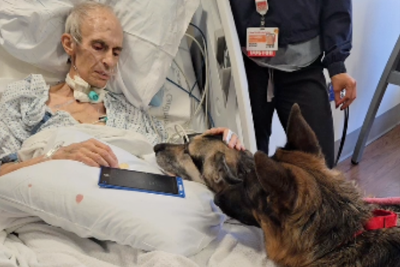 Terminally ill man’s heartbreaking goodbye to his loyal German Shepherds: ‘Not a dry eye in the house’