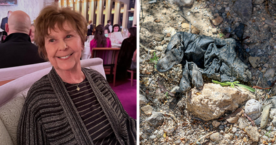 Long-Standing Mystery Of Gloves In Nancy Guthrie Case Finally Solved