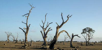 A wild girl considers land rights and community in Eva Hornung’s ‘utterly gripping’ new novel