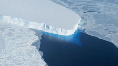 Antarctica has lost 5,000 square miles of 'grounded ice' in the last 30 years, satellite images reveal