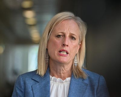 ‘A win for democracy’: Labor abandons freedom of information law changes that would have reduced transparency