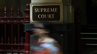 Complex trauma escalated to gruesome murder, court told