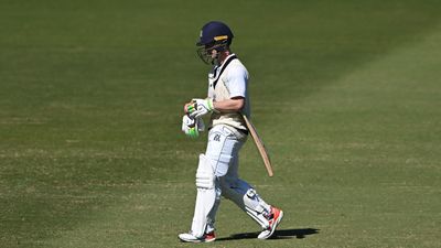 Sam Harper shines on wicket-filled opening Shield day