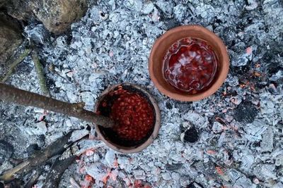 Pottery remains reveal secrets of ancient Europeans’ surprisingly complex diet