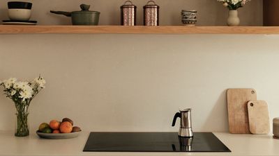 How Do You Know If Your Pans Work on an Induction Hob? This Is the One Thing You'll Need to Test Them That Almost Costs Nothing — and You May Already Have It in Your Kitchen