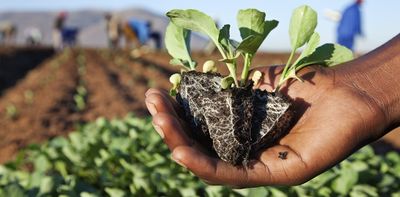 Women farmers in South Africa pay the cost of broken irrigation systems – the story of one cooperative