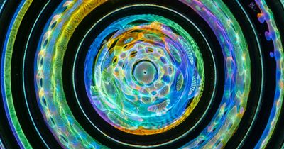 “Are You Gifted?”: This 24-Question Visual Reasoning Test Might Prove It