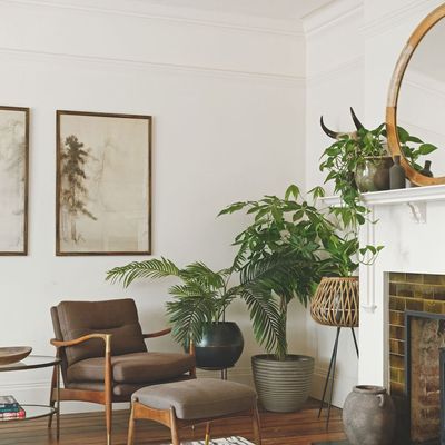 A white living room doesn’t have to be boring – these are the 6 ways to make your white-painted lounge look interesting rather than safe