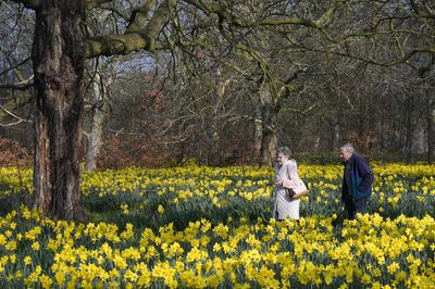 Temperatures hit record high so far this year