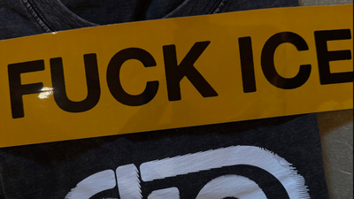 Stranger Things Actor Joe Keery Sends Fans Charity T-Shirt With F*CK ICE Stickers and 'Know Your Rights' Guide