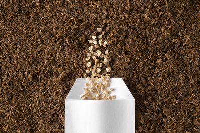 How to Save Seeds Instead of Buying New Packets