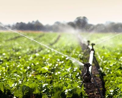 Investment in food systems should be a priority