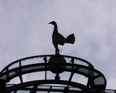 Tottenham 1-3 Crystal Palace: Premier League – as it happened