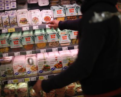 EU agrees to chop meaty names from vegetarian and vegan food products