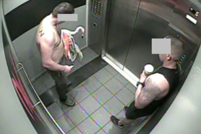 Shocking images show Vegas resort’s flamingo being kidnapped and tortured by shirtless man, say cops