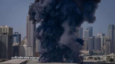 Left to fend for themselves? Gulf allies claim US gave no warning before strikes