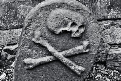 Scientists make surprising discovery about the Black Death’s impact on nature
