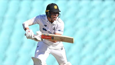 Bulls on the ropes as Fanning nears maiden Shield ton