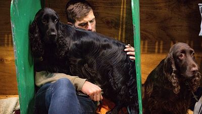 UK: Crufts opens in Birmingham with more than 20,000 dogs