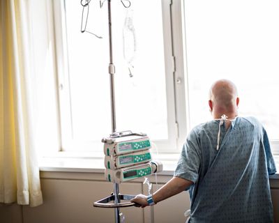 Digested week: It’s been a rough year – so thank you to our politicians for giving me plenty to write about