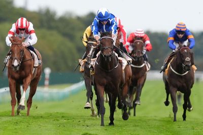 Cheltenham accumulator tips: 377,909/1 acca for the 2026 festival