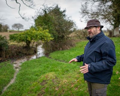 A century of care: Wildlife Trusts mark 100th birthday with woodland project