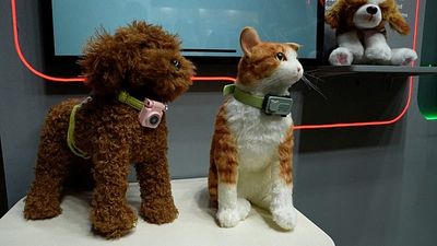 Smartphones for pets? This wearable device lets your pets call you when they need attention
