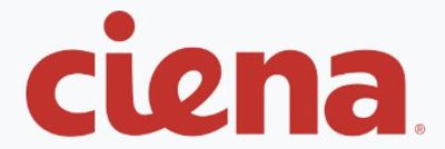 Ciena Corporation Stock Plunges 13% Despite Record Q1 Revenue and Raised Outlook on AI Demand