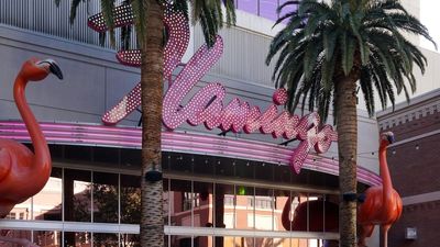 ‘Pulled the wing out’: Las Vegas tourist’s wild night ends in charges after he kidnaps a flamingo from a casino
