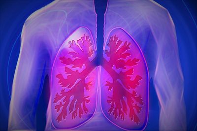 Lung Cancer in 2026: Why Survival Rates Are Improving, and Where They Aren’t