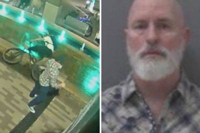 “They ran right at me!” Man arrested in middle of concert after shoving kids off bikes into fountain