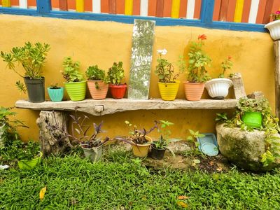 How to Reuse Old Pots Without Harming Plants