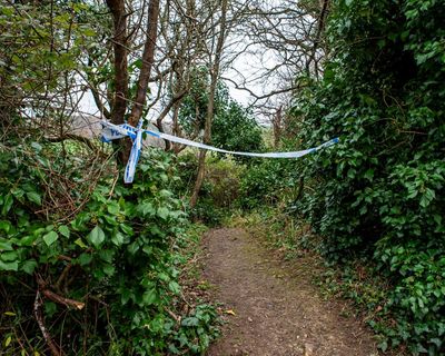 Teenagers killed themselves in Dorset after baby taken into care, inquest finds