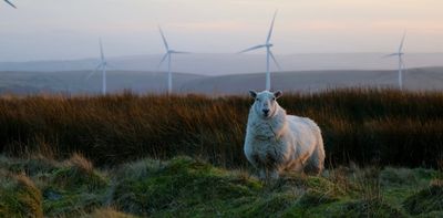 Plaid Cymru plans to share wind farm profits with local people – here’s how that idea has been tried elsewhere