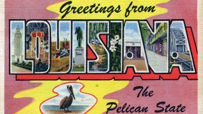 Former Mayor’s desperate SA defense reaches disgusting territory as she tries to pin the blame on a teenager