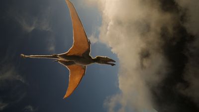 Morgan Freeman’s Voice Is Like A ‘Warm Blanket’ On The Dinosaurs, But What Are Critics Saying About The Docuseries Overall?