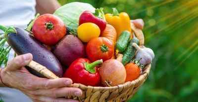 Ohio Seniors 60+: How to Get the $50 Farmers Market Produce Benefit