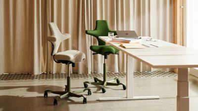 This chair looks weird – but for me it's the best ergonomic office chair