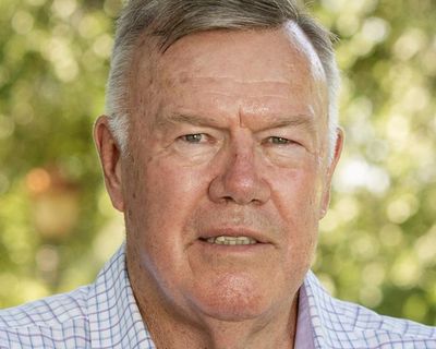 One Nation seeks a foothold in Farrer as it names byelection candidate