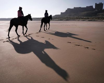 Minella Study can ride the crest of a wave for Adam Nicol at Cheltenham