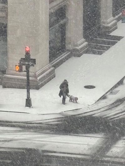 ‘People were carrying their dogs across the ice’: Adela Ramirez’s best phone picture