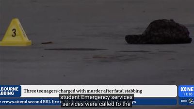 Good Samaritan identified after 'savage' fatal stabbing