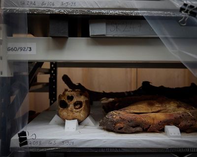 Which human remains are held in UK museums – and where?