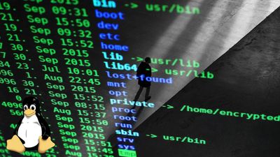 AMD VP uses AI to create Radeon Linux userland driver in Python — senior AI engineer says he "didn't open the editor once"
