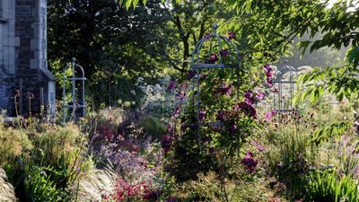 Don’t Be Fooled by This Warm Spell – ‘False Spring’ Could Wipe Out Your Planting If You Do These 5 Things Too Soon